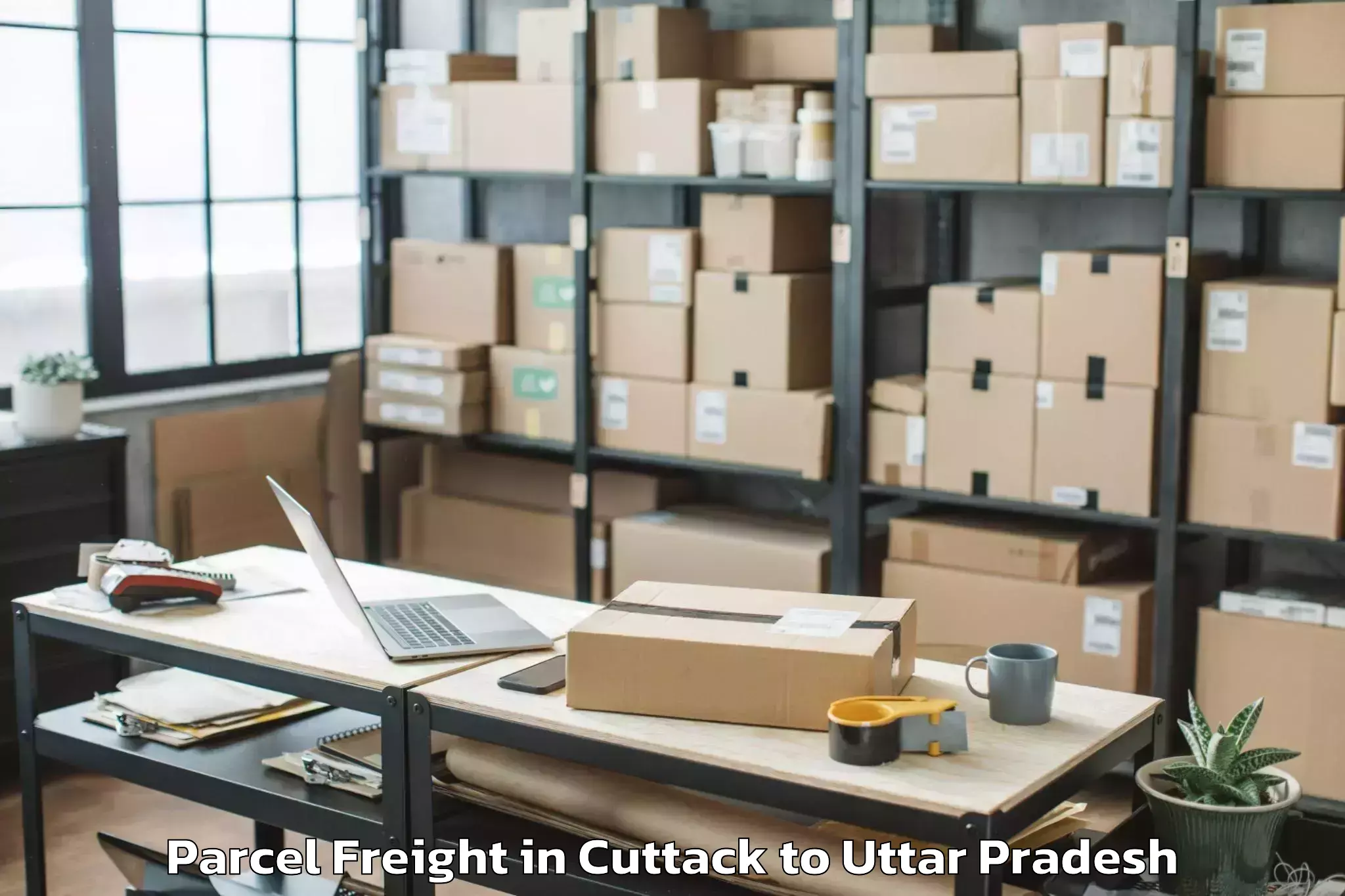 Book Cuttack to Sasni Parcel Freight Online